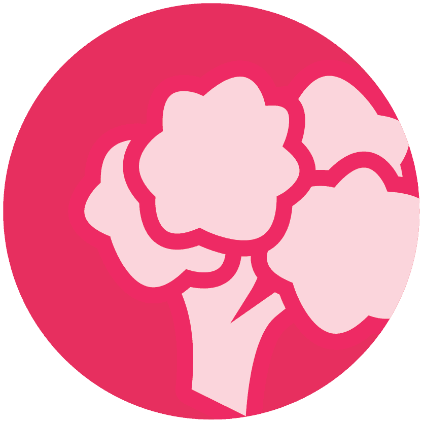 nutrition-icon-food-lifestyle-verity-paz