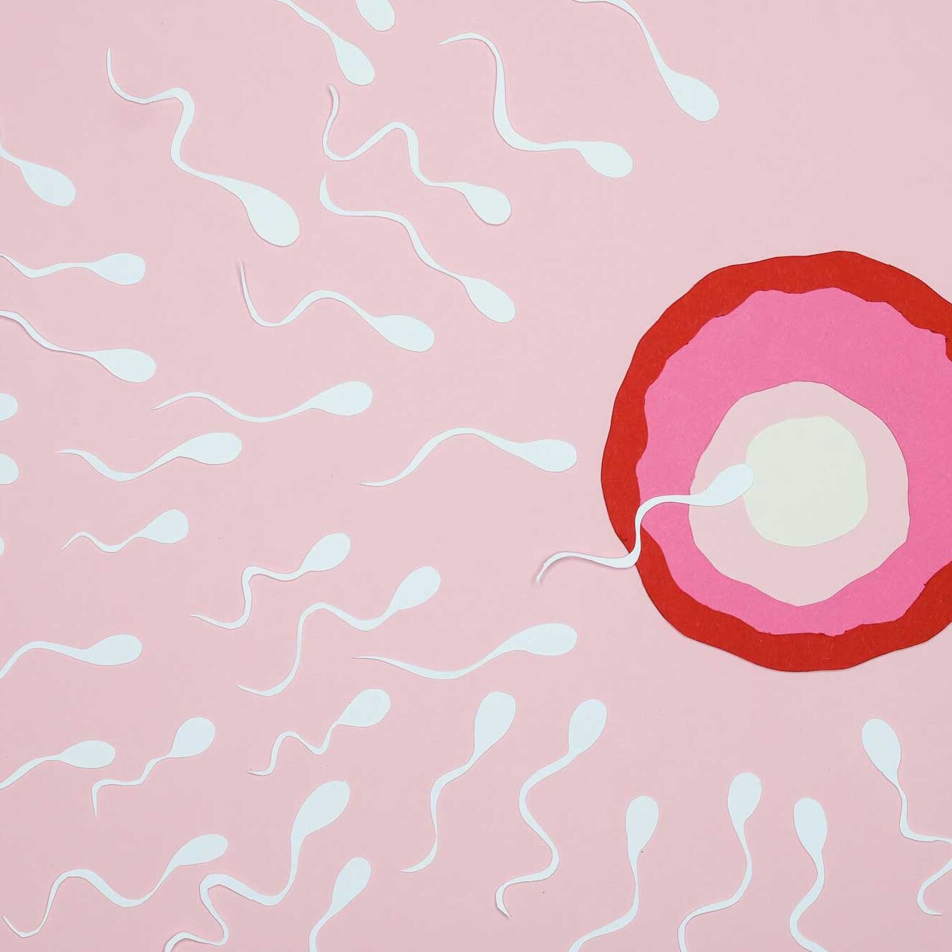Verity Paz - Fertility support, coaching and treatments